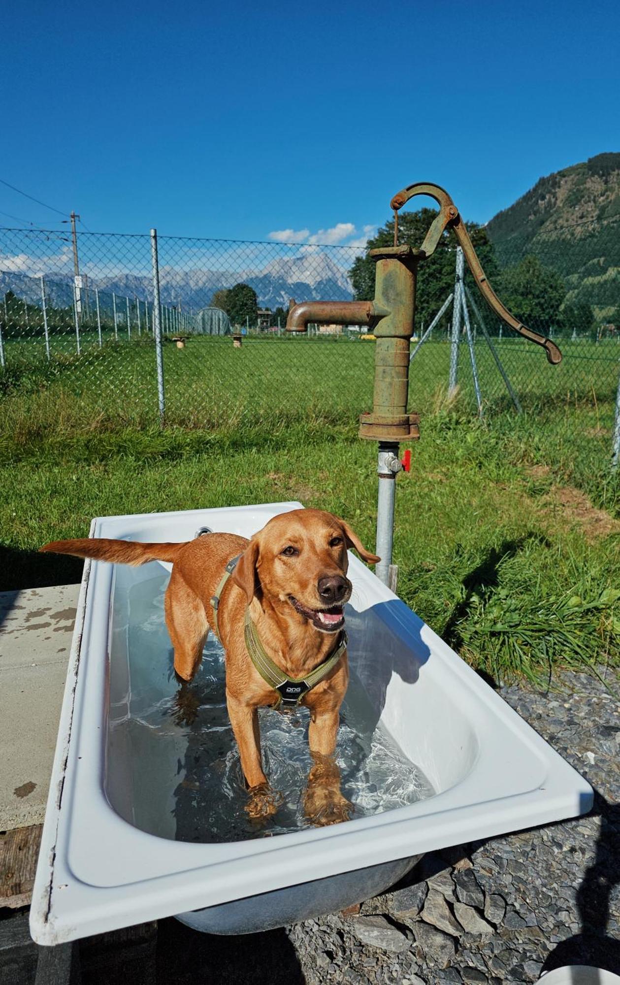 Chaletdorf Zellersee Maishofen Ngoại thất bức ảnh