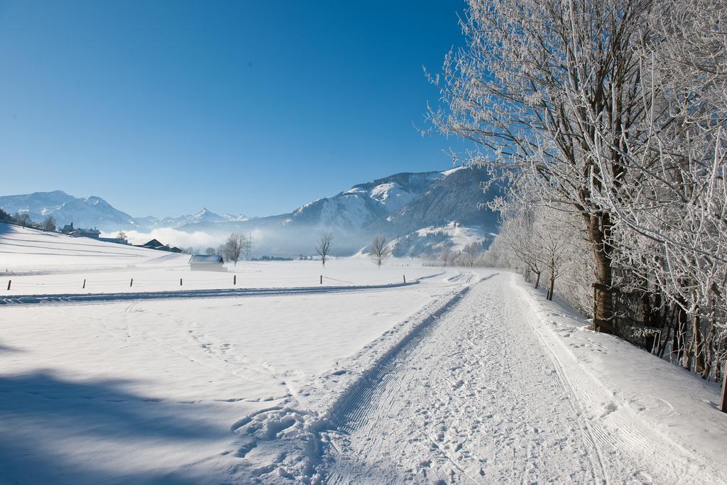 Chaletdorf Zellersee Maishofen Ngoại thất bức ảnh